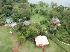 Nile Nest