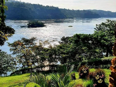 Nile Nest, Nile Nest photo