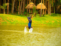 Nyungu Yamawe Forest Park, Nyungu Yamawe Forest Park photo