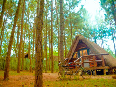 Nyungu Yamawe Forest Park, Nyungu Yamawe Forest Park photo