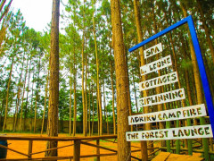 Nyungu Yamawe Forest Park, Nyungu Yamawe Forest Park photo