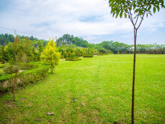 Akamwesi Gardens