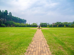 Akamwesi Gardens, Akamwesi Gardens photo