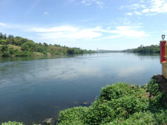 Nile Park