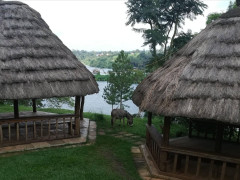 Nile Park, Nile Park photo