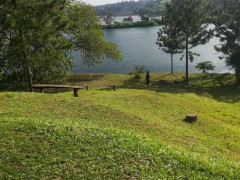 Nile Park, Nile Park photo