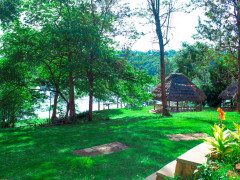 Nile Park, Nile Park photo