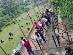 Ngamba Island