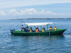 Ngamba Island, Ngamba Island photo