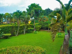 Summer Terrace Gardens