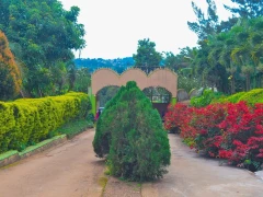 Summer Terrace Gardens, Summer Terrace Gardens photo