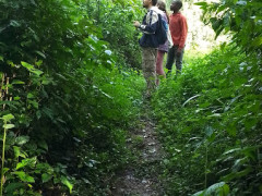 Mabira Forest