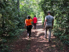 Mabira Forest