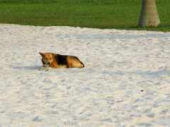 Bunjako Beach
