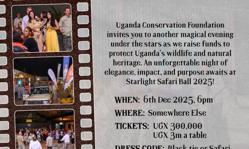 Starlight Safari Ball