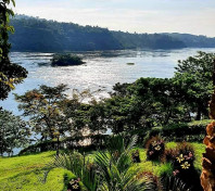 Nile Nest 