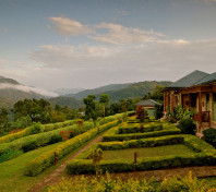 Silverback Lodge 