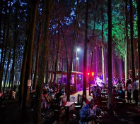 Nyungu Yamawe Forest Park 