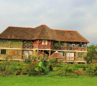Roots Retreat and Camping Resort 