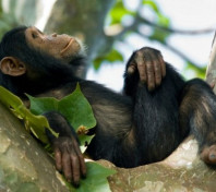 Uganda Wildlife Conservation Education Centre 