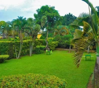 Summer Terrace Gardens 