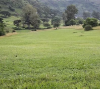 Kilembe Mines Golf Club 