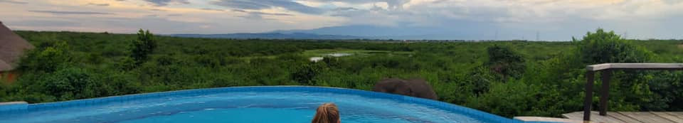 Buffalo Safari Lodge 