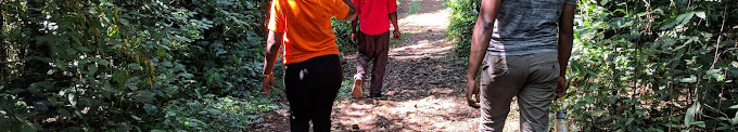 Mabira Forest
